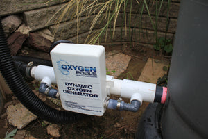 Oxygenation System CHLORINE FREE, AND NO EXPENSIVE SALT WATER POOL a SAFE ALTERNATIVE